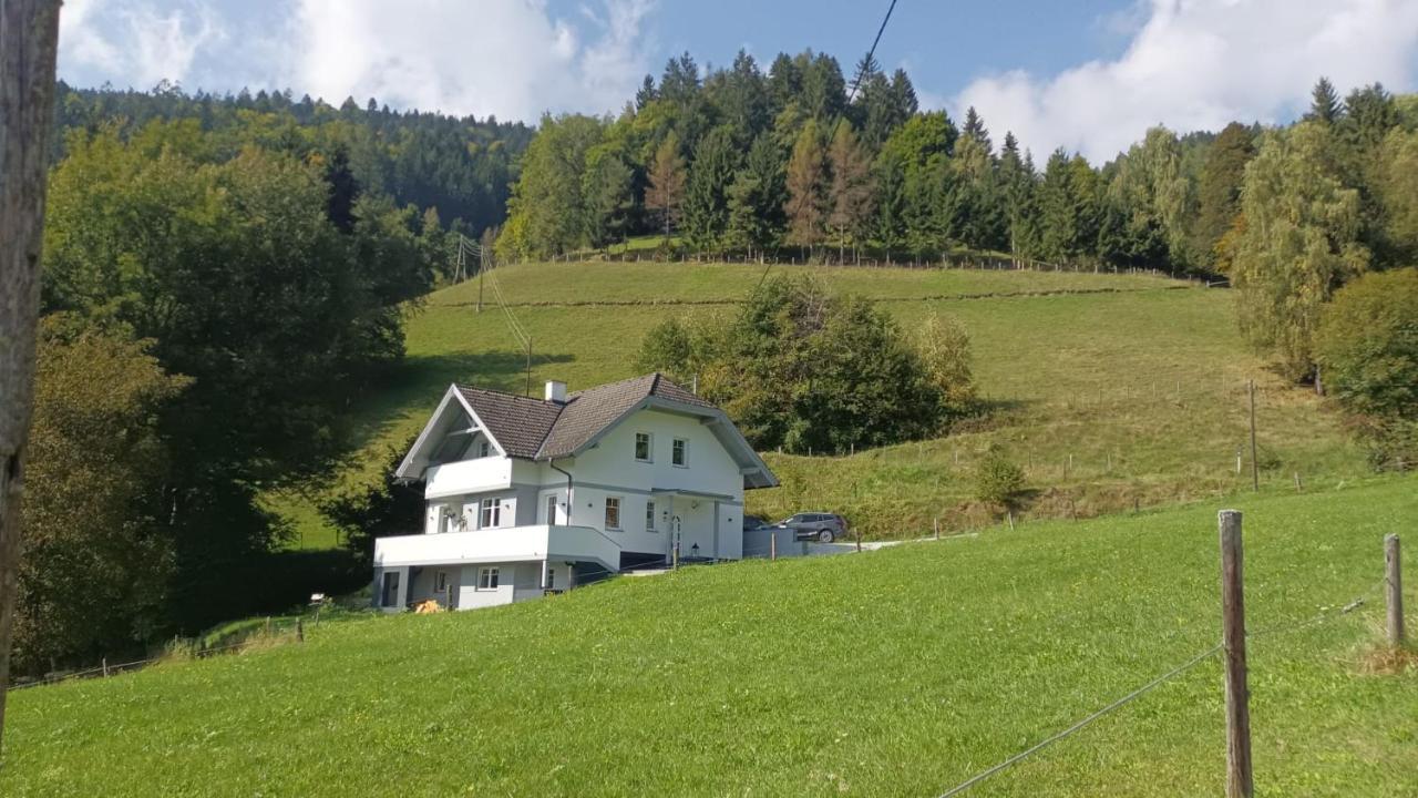 Aparts Lakeview -Gerlitzen -Ossiacher See -Ski Tratten  Extérieur photo
